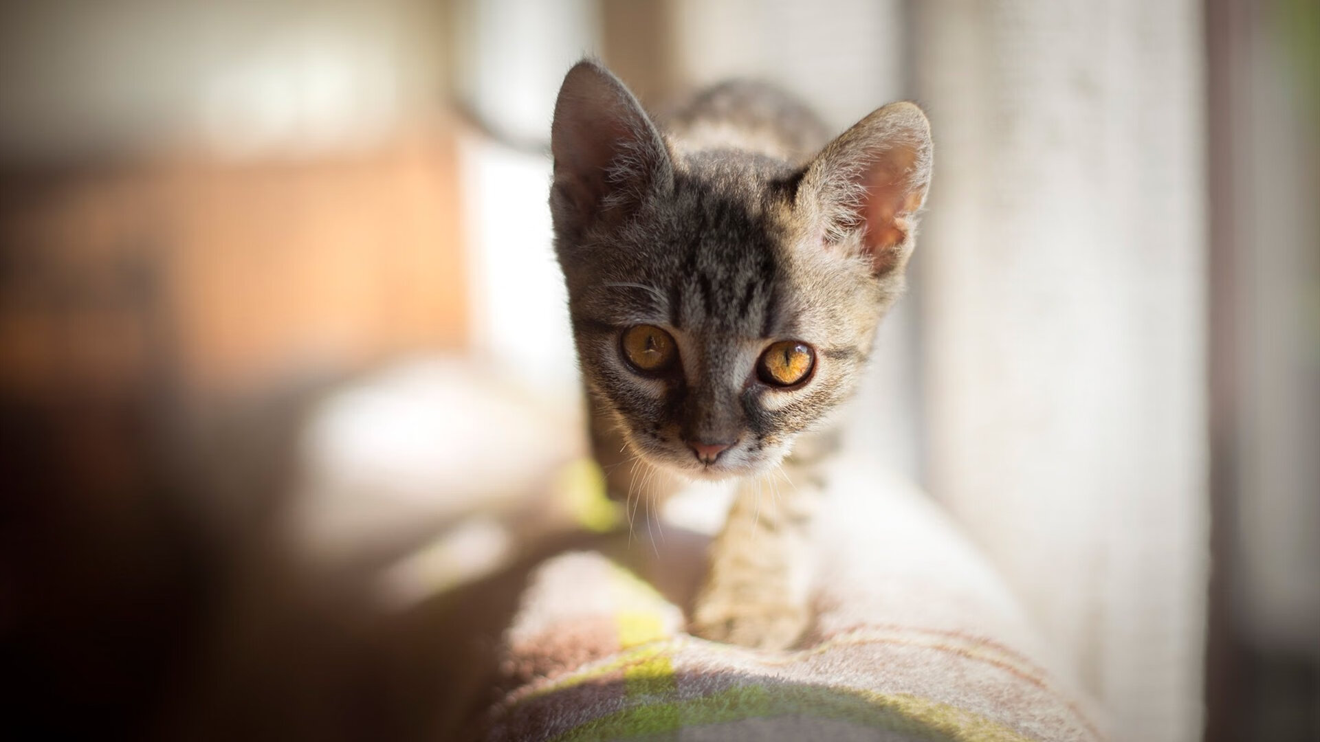 汉江奇迹夜,韩国表演赛4-3切尔西,哈兰德客串绝杀