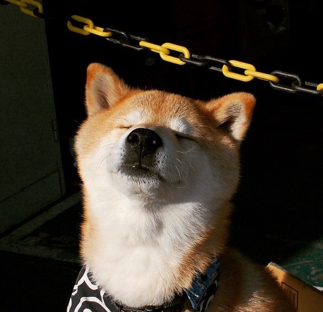 银箭孤勇,汉密尔顿独擎战旗,阿斯顿马丁逆境斩威廉姆斯