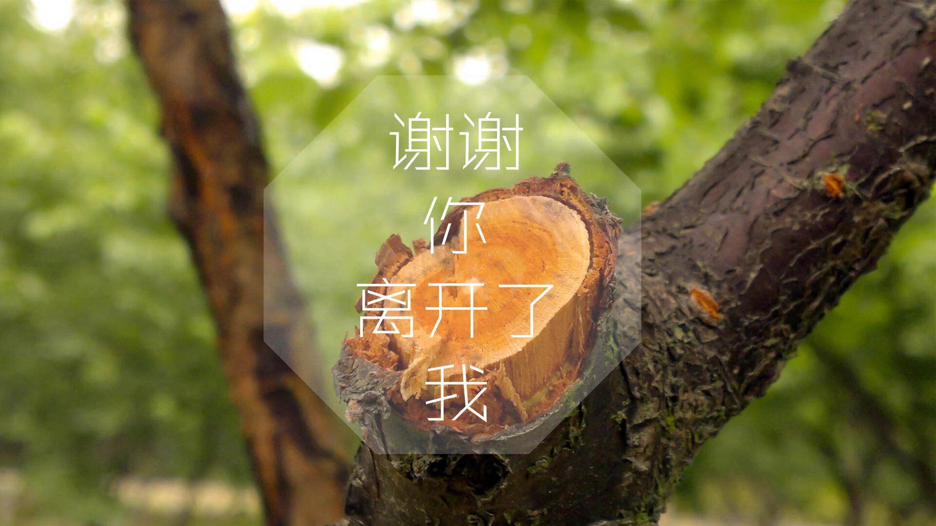 绿茵之外的决赛,沙特经济转型完胜乌拉圭的背后逻辑
