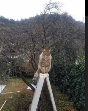 慢板乐章，哈登的节奏美学，如何定义年度焦点之战