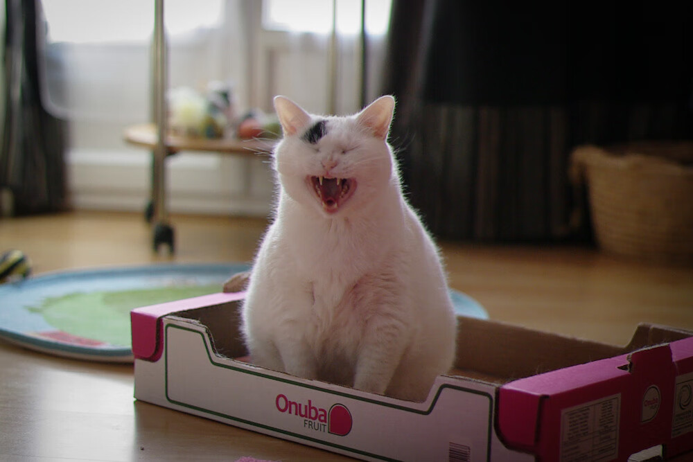 西甲国家德比焦点战，巴萨黄蜂式闪电战击溃皇马火箭攻势