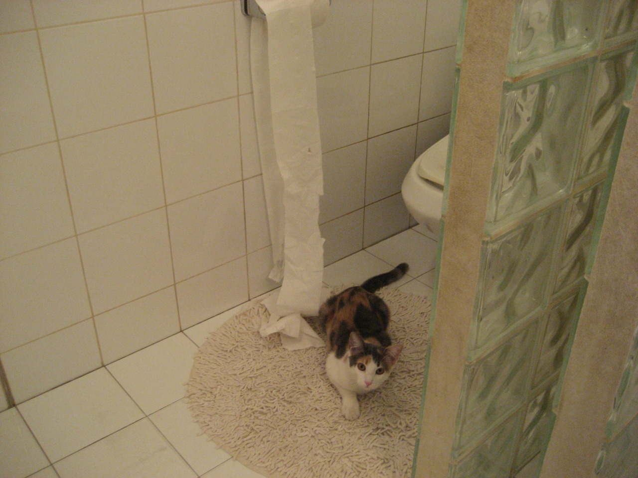 单骑破阵，当马刺的完美机器遇上范弗利特的唯一性狂飙