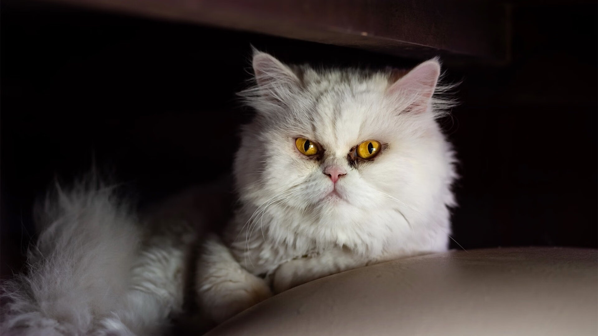 淬火时刻,乔治的燃烧与雄鹿的钢骨之锻