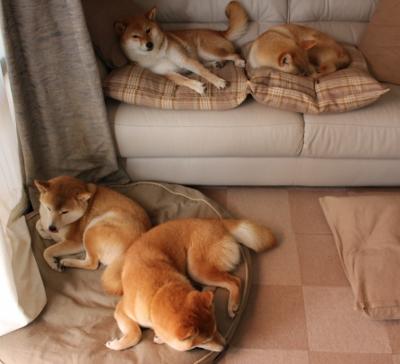 温布利蓝月，安第斯奇迹，一场比赛与一位国王的加冕