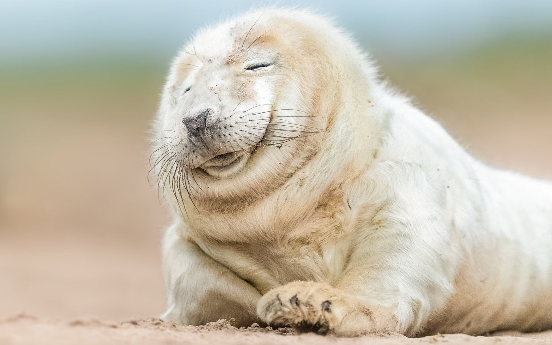 当钢铁长城撞上黄金风暴，班凯罗用东方哲学锁死勇士