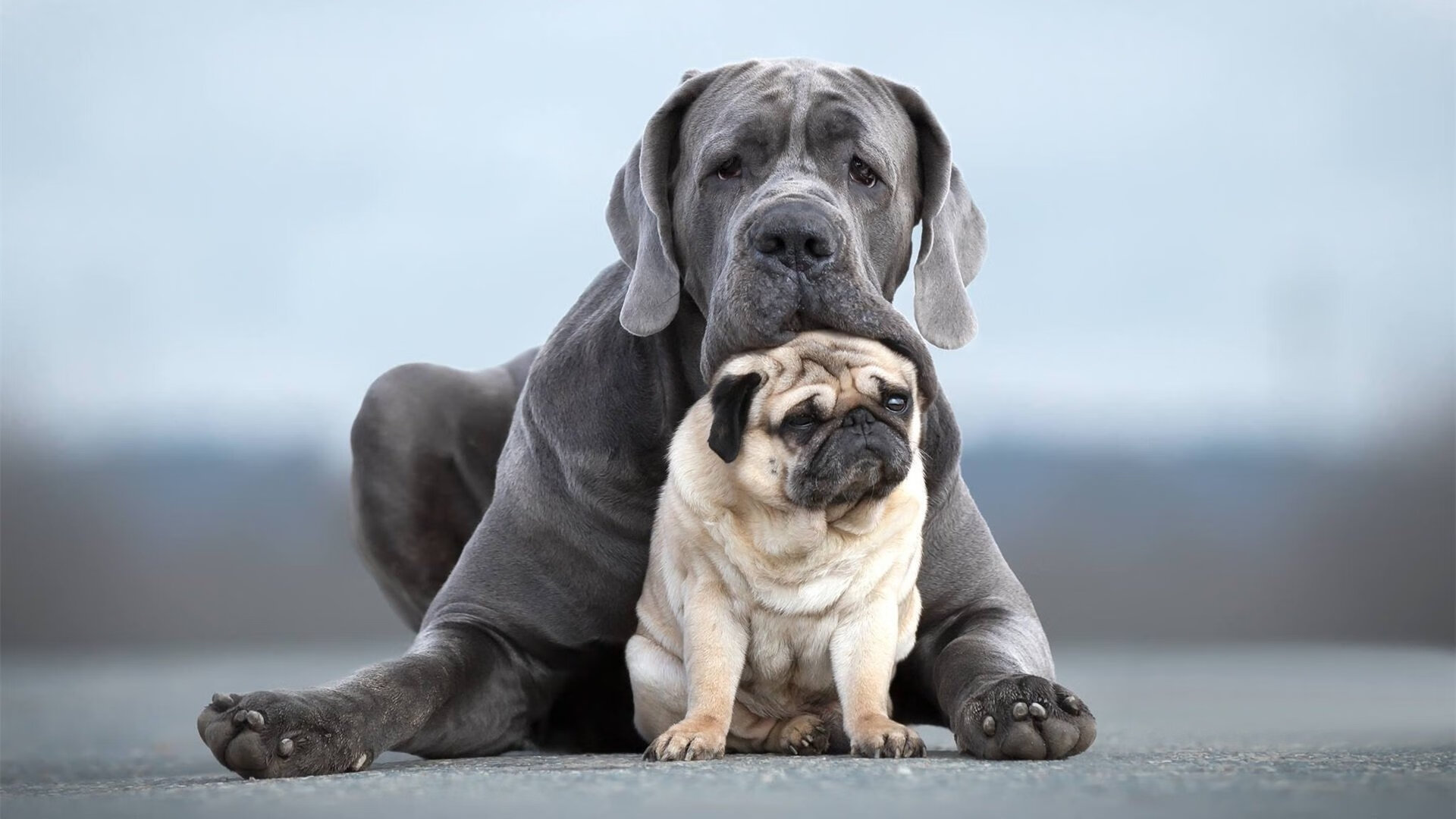 掌控的艺术，意甲焦点战中的节奏密码