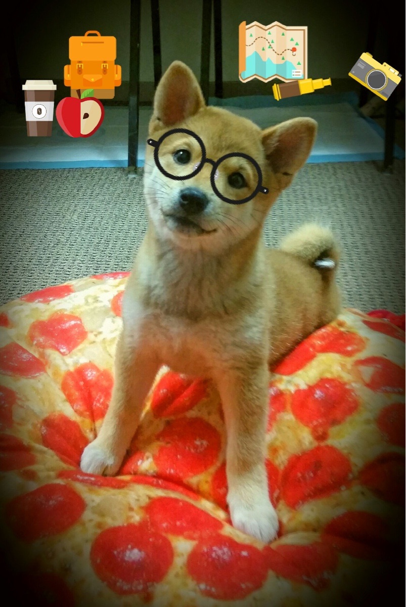 赛道上的欧国联决赛,当F1引擎声替代了足球的射门轰鸣