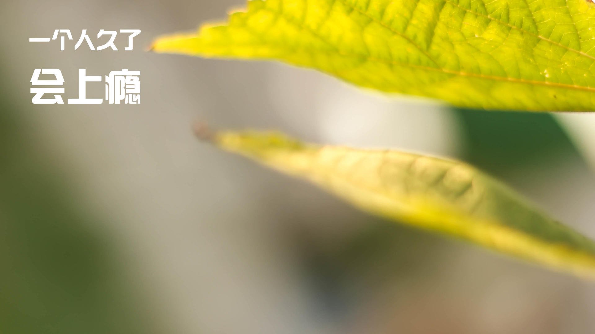 红白哲学，摩纳哥式战术如何钳制三狮军团，以及格列兹曼的终极答案