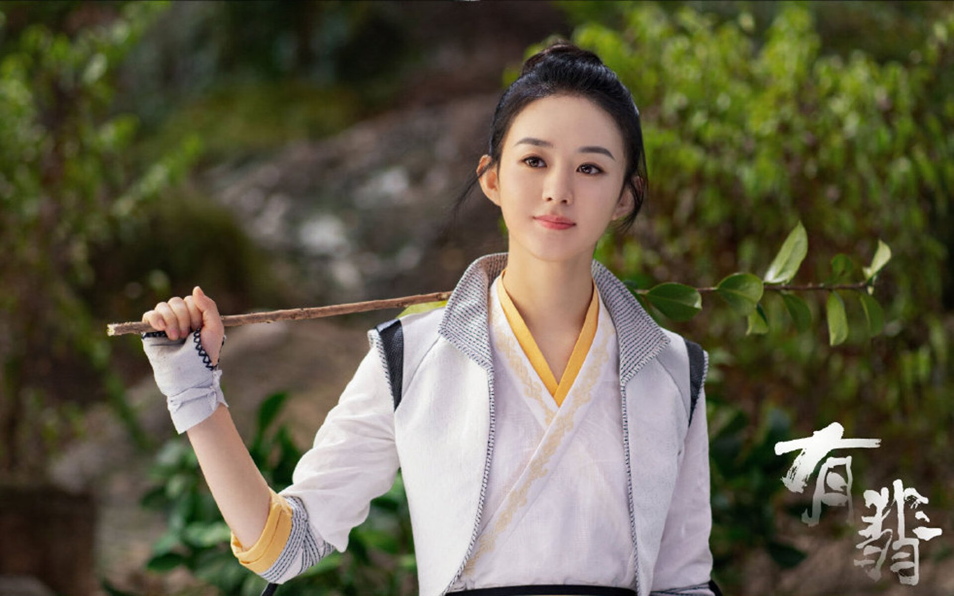 绿茵场与硬木地，当德甲争冠战遇见浙江队的掌控哲学