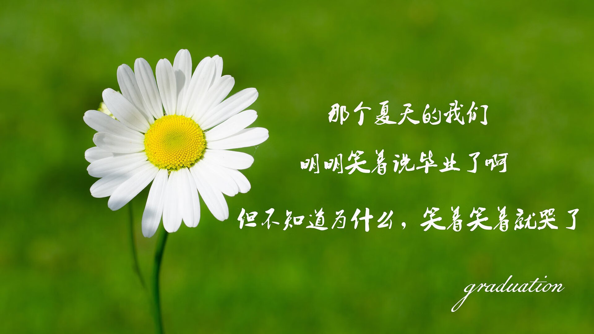 橙衣军团的历史性终局，当荷兰终结苏格兰，凯恩如何成为预言外的关键先生