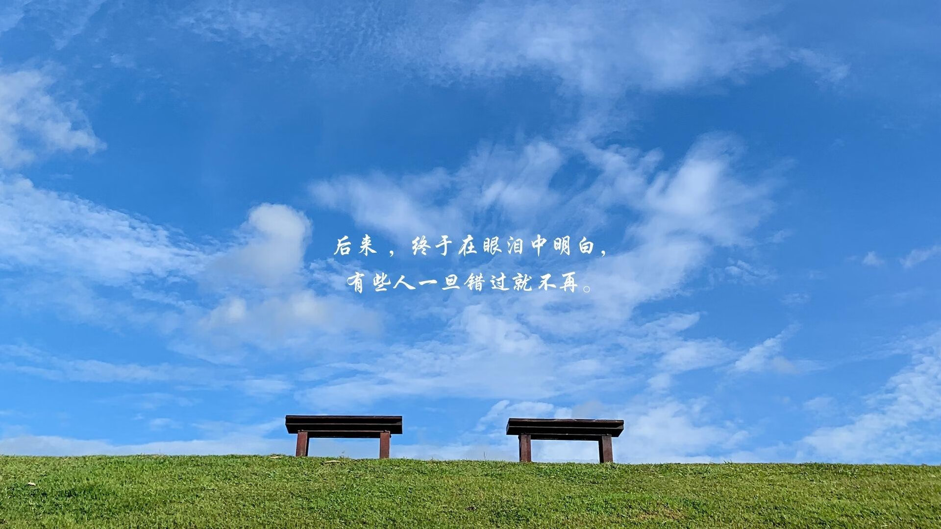 2026复仇之火,突尼斯逆转葡萄牙,三笘薰的亚洲之光点亮世界杯