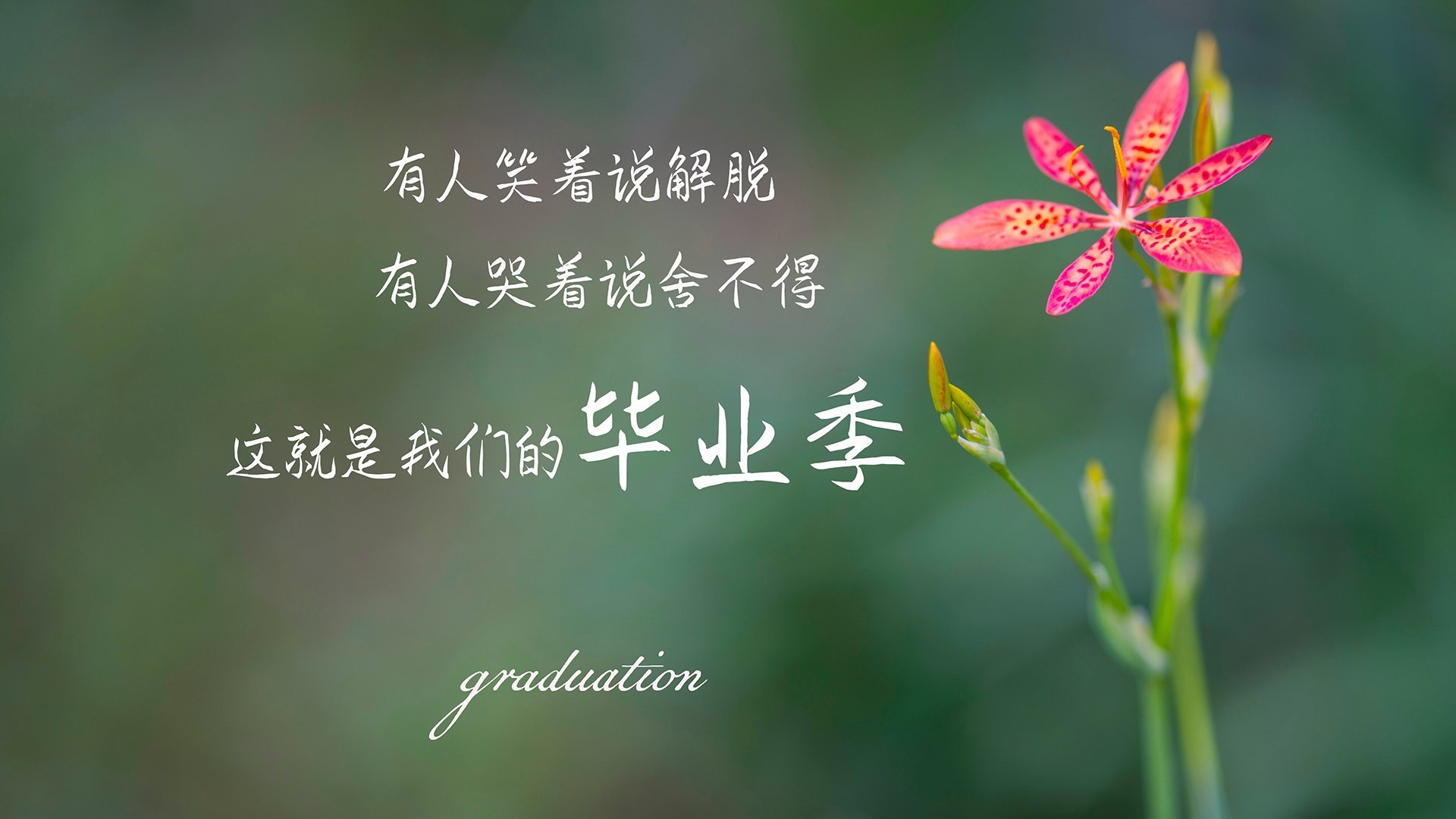 黑马狂奔,阿诺德致命一击,哥斯达黎加横扫波兰,改写世界杯争冠史的唯一奇迹